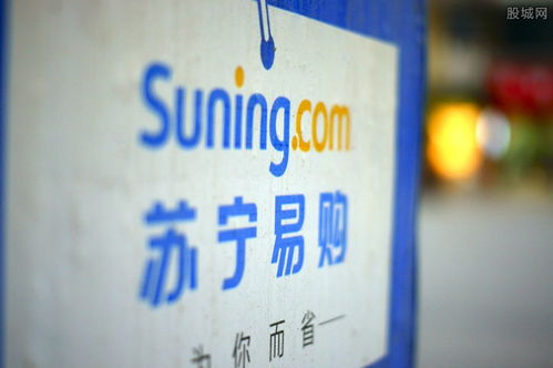 蘇寧易購(gòu) 從民營(yíng)企業(yè)巨擘到零售業(yè)領(lǐng)軍者